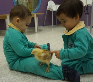 Niños jugando con el pollo Pepe - Escuela Infantil en Málaga - Con C de Cariño